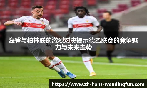 海登与柏林联的激烈对决揭示德乙联赛的竞争魅力与未来走势